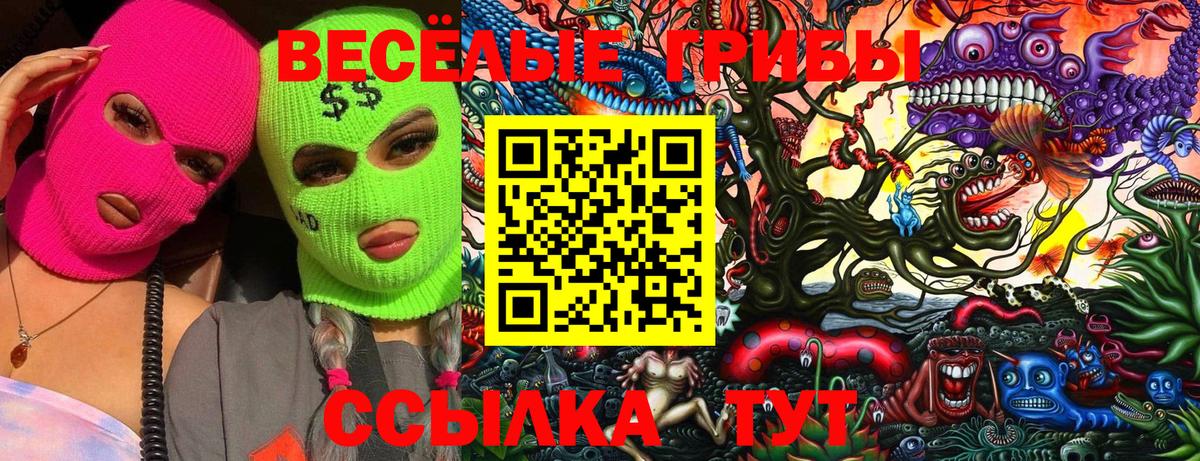 Отрадный  Псилоцибиновые грибы прущие грибы  Вход с VPN 