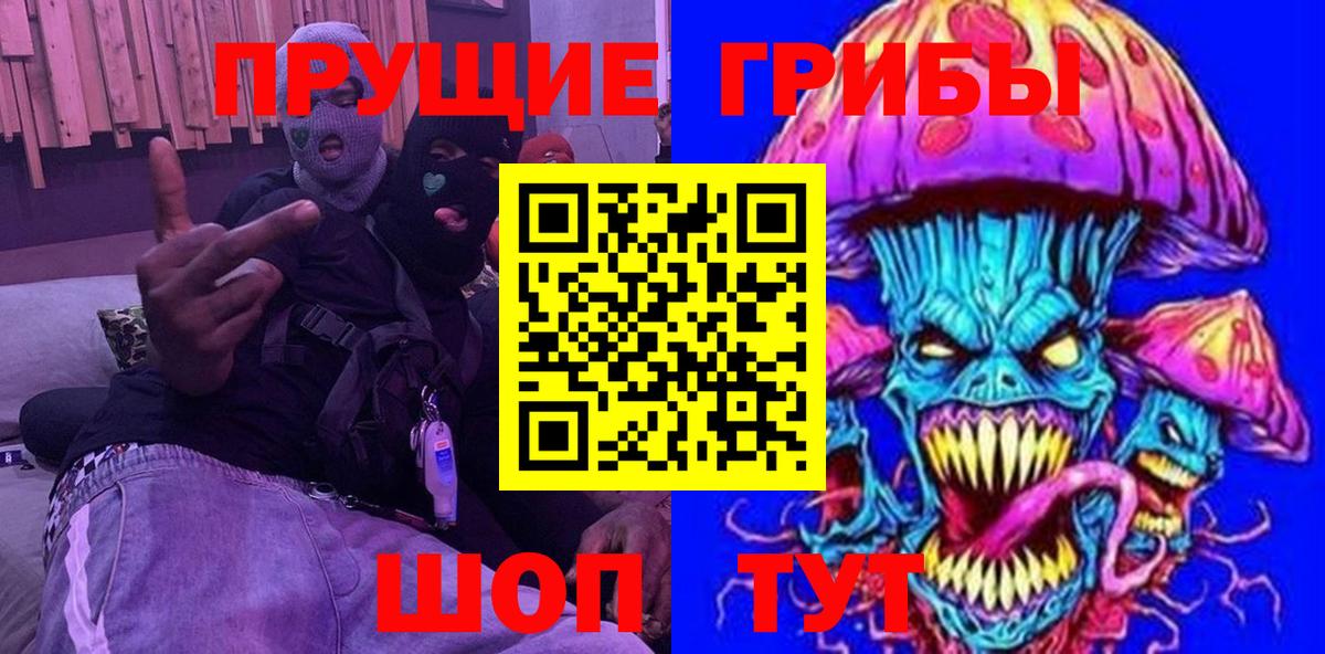 Псилоцибиновые грибы Psilocybe Отрадный