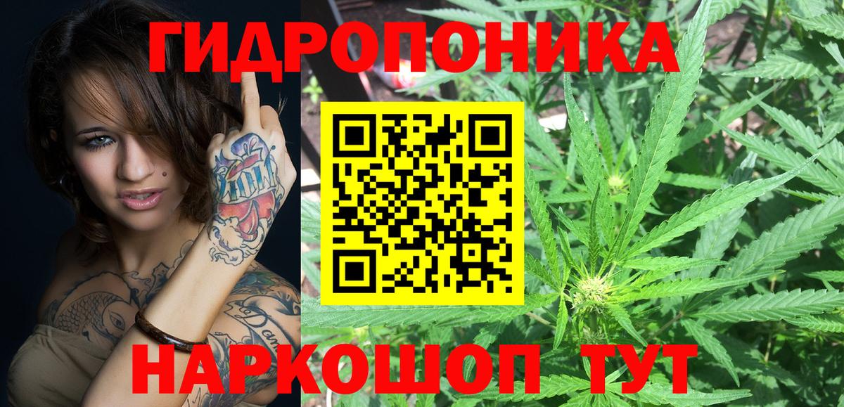Каннабис White Widow  Каннабис VHQ  Отрадный  Вход с VPN  Шишки марихуана Ganja 